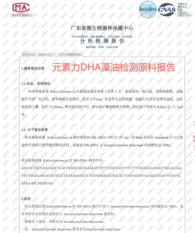 青少年DHA藻油增强记忆力|2026年青少年DHA藻油品牌推荐指南