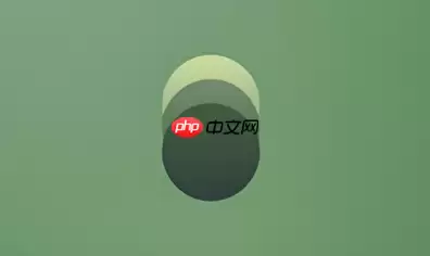 PhotoColors怎么批量处理照片？高效修图操作流