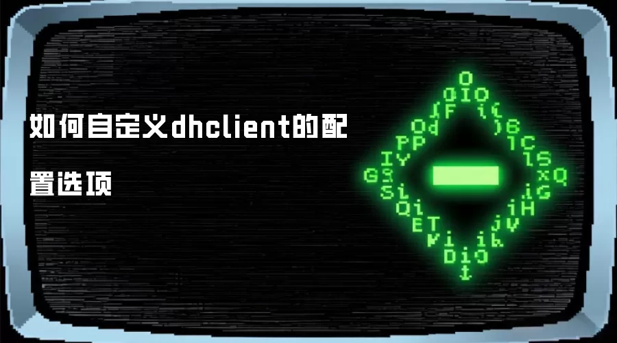 如何自定义dhclient的配置选项