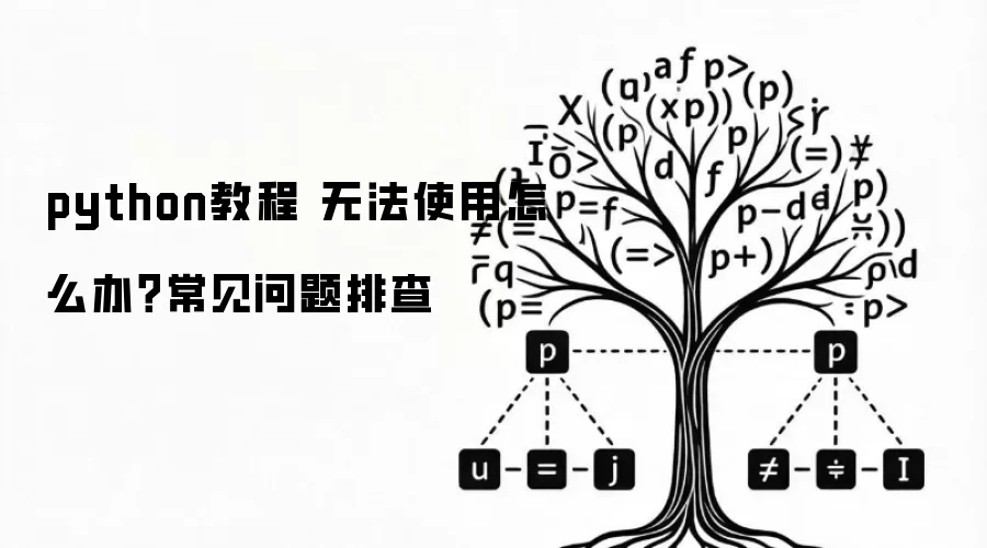 python教程 无法使用怎么办?常见问题排查