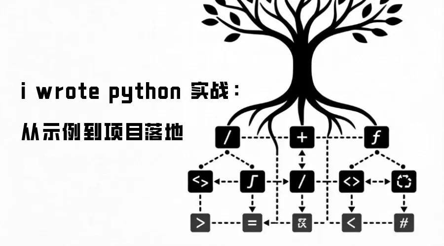 i wrote python 实战：从示例到项目落地