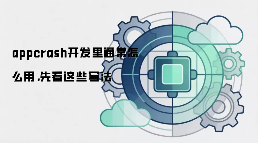 appcrash开发里通常怎么用,先看这些写法
