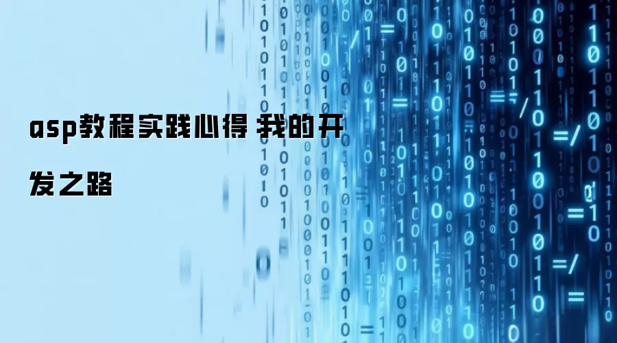 asp教程实践心得:我的开发之路