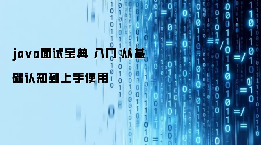 ja va面试宝典 入门：从基础认知到上手使用