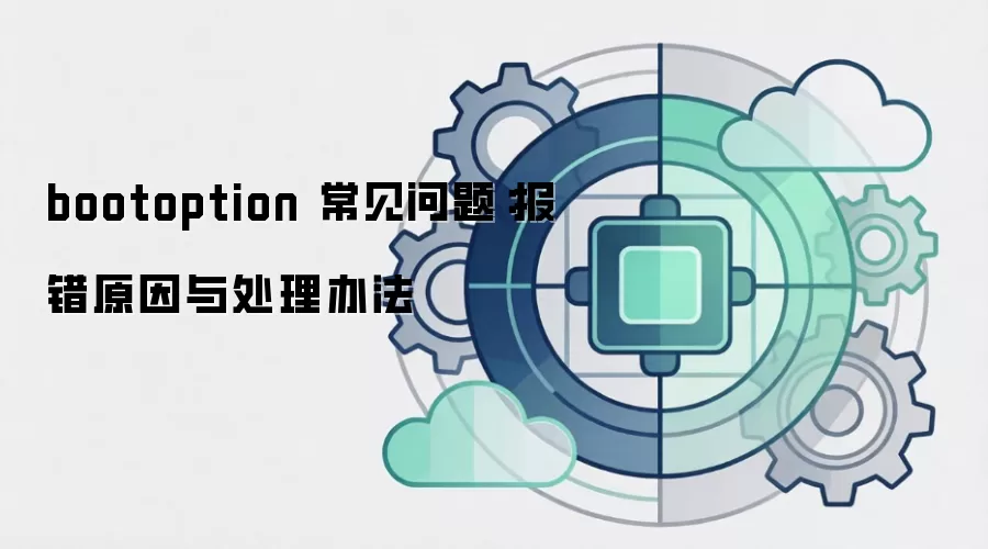 bootoption 常见问题：报错原因与处理办法