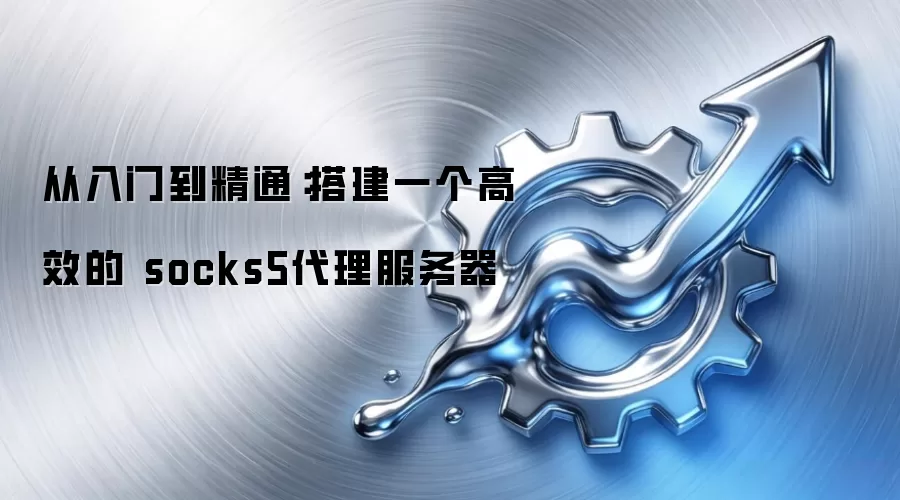 从入门到精通:搭建一个高效的 socks5袋里服务器