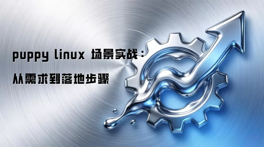 puppy linux 场景实战:从需求到落地步骤