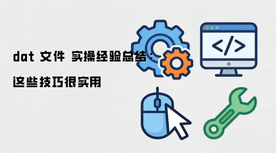 dat 文件 实操经验总结：这些技巧很实用