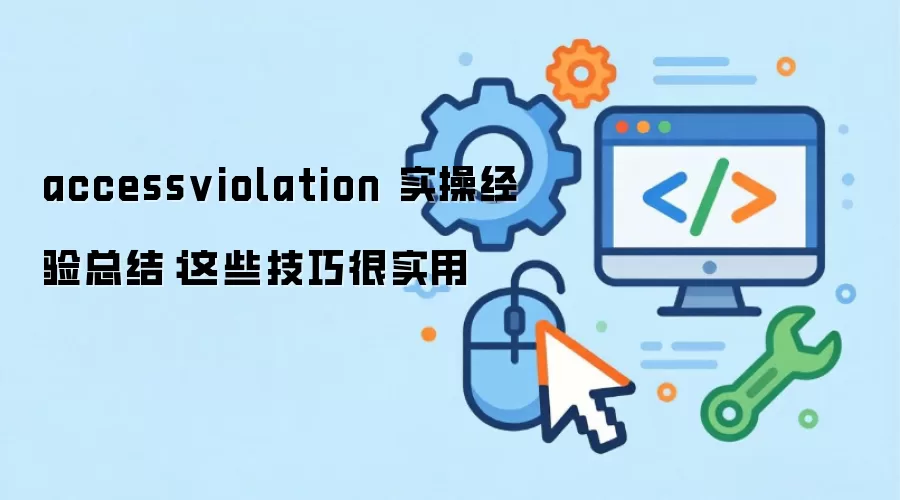 accessviolation 实操经验总结:这些技巧很实用
