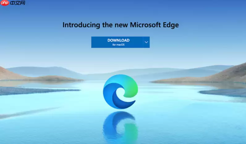 Edge浏览器集锦怎么分享给别人_Edge浏览器网页合集导出