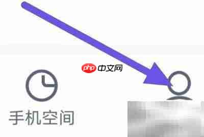 2345清理王应用伪装设置方法