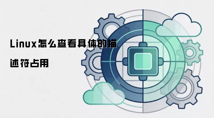 Linux怎么查看具体的描述符占用