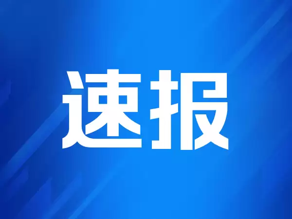 活力中国调研行|895孵化器,孵化器里的“985”(上海科创“一公里”)