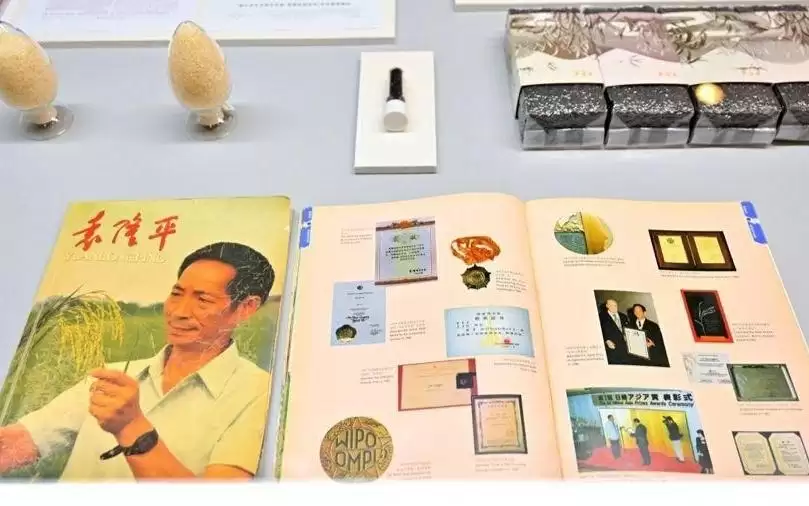 未来科学论坛上海启幕,部分科学家珍贵手稿与实物首次展出