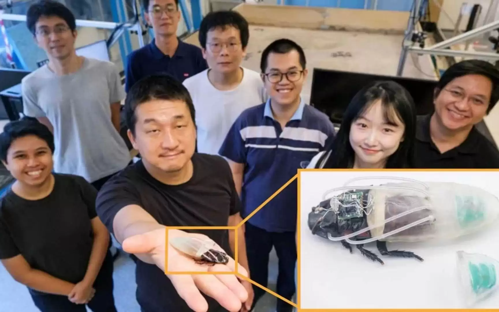 洪水凶猛,突破陆地限制!蟑螂穿上3D打印“潜水服”,有望助力灾后搜救
