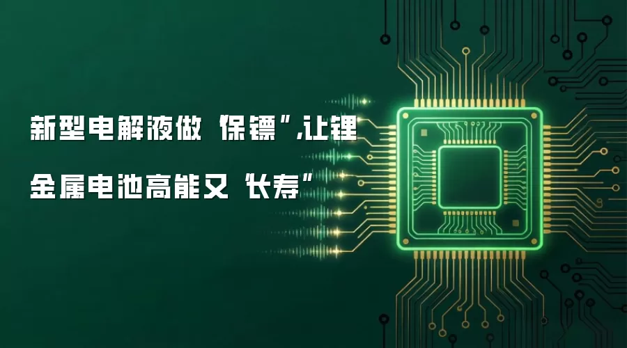 新型电解液做“保镖”，让锂金属电池高能又“长寿”