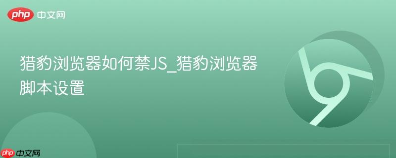 猎豹浏览器如何禁JS