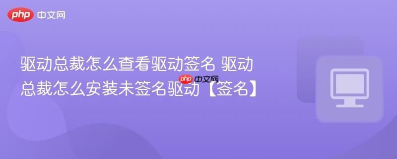 驱动总裁怎么查看驱动签名