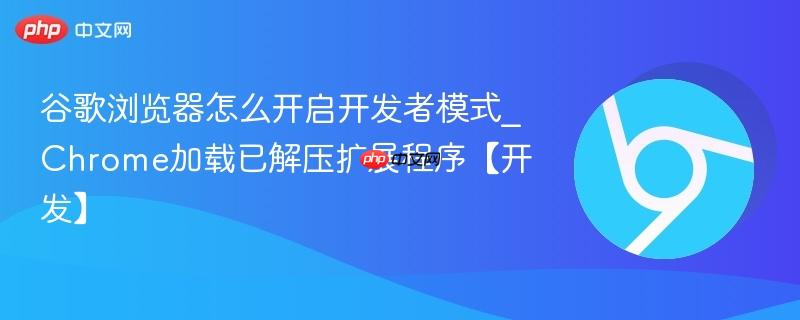 谷歌浏览器怎么开启开发者模式