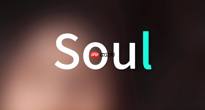 Soul怎么设置引力签