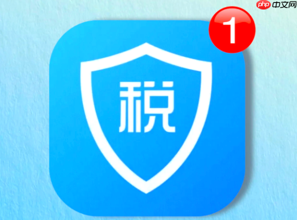 申报个税怎么申报_个税申报流程怎么操作【步骤】