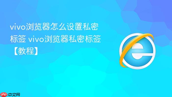 vivo浏览器怎么设置私密标签