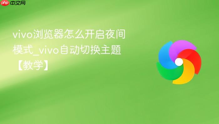 vivo浏览器怎么开启夜间模式