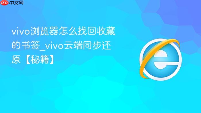 vivo浏览器怎么找回收藏的书签