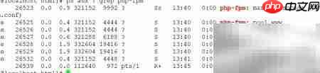 Linux搭建专属WordPress博客