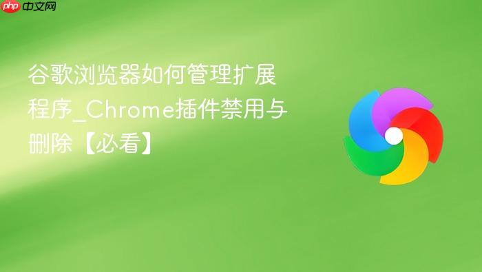 谷歌浏览器如何管理扩展程序