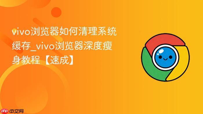 vivo浏览器如何清理系统缓存