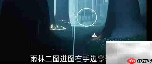 雨林冥想点示意图