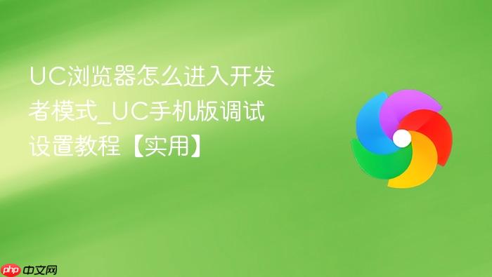 UC浏览器怎么进入开发者模式