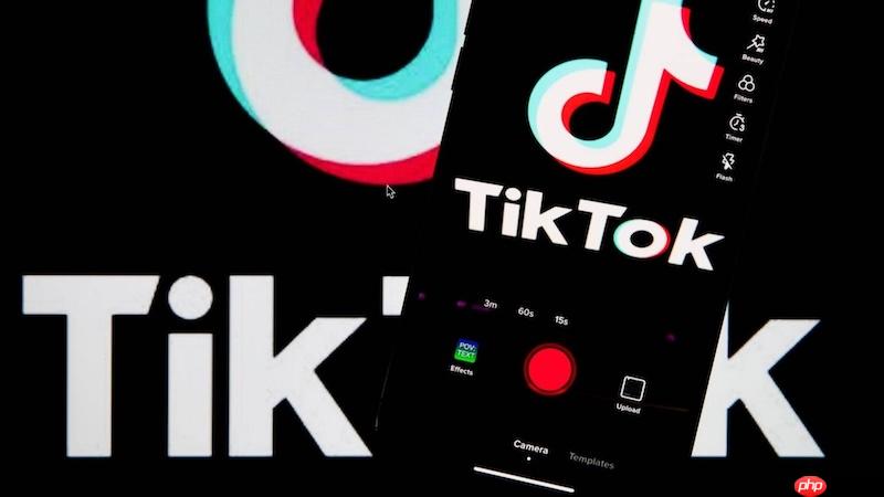 TikTok国际版访问界面示意