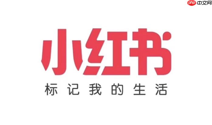 小红书怎么涨粉