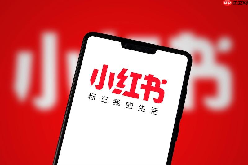 小红书深色模式设置界面示意