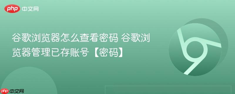 谷歌浏览器怎么查看密码