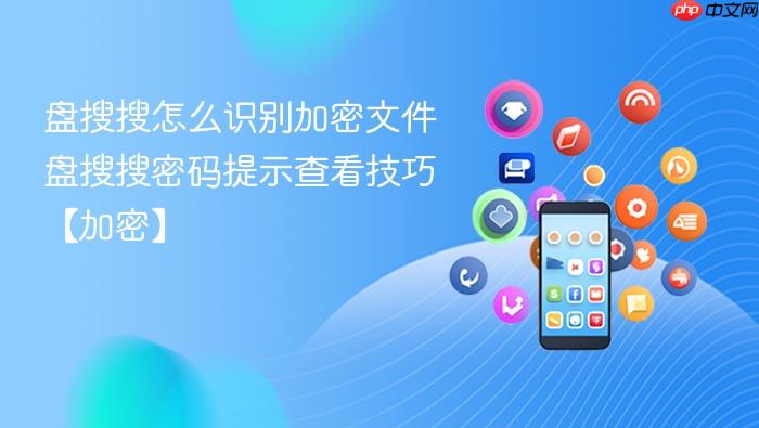 盘搜搜怎么识别加密文件