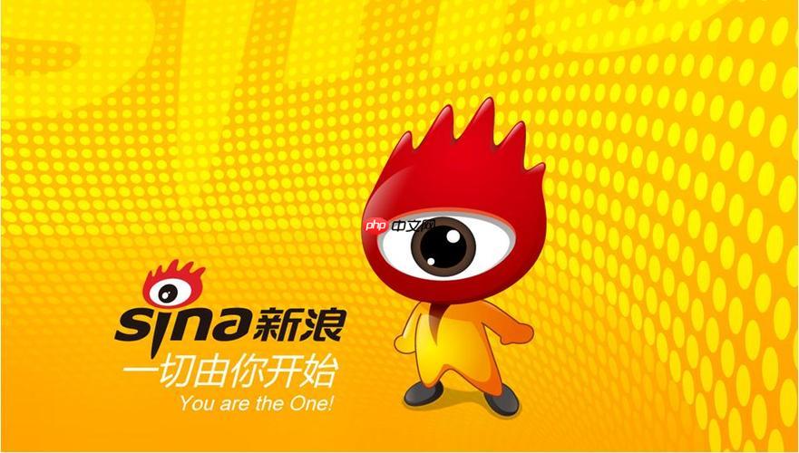新浪邮箱登录界面示意图