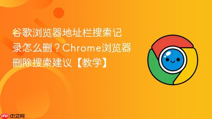 谷歌浏览器地址栏搜索记录怎么删？Chrome浏览器删除搜索建议【教学】