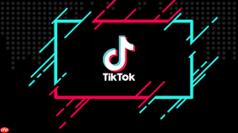 Tiktok在线网页版入口