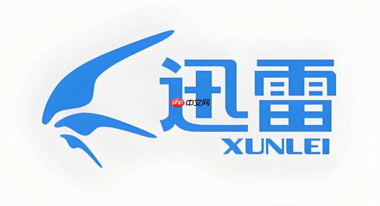 迅雷网盘操作界面示意图