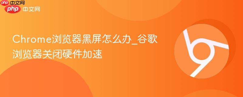 Chrome浏览器黑屏示意图