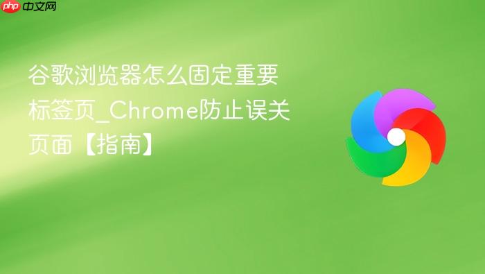 谷歌浏览器怎么固定重要标签页
