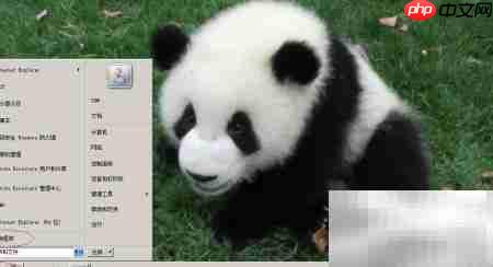 WinServer2008无线网卡驱动更新