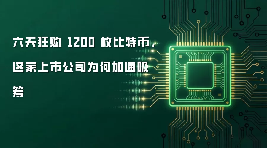 六天狂购 1200 枚比特币，这家上市公司为何加速吸筹