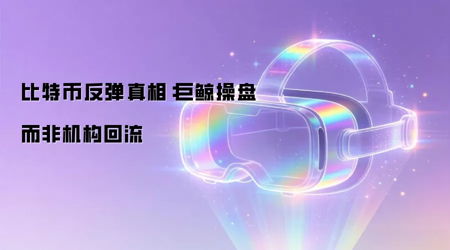 比特币反弹真相：巨鲸操盘而非机构回流