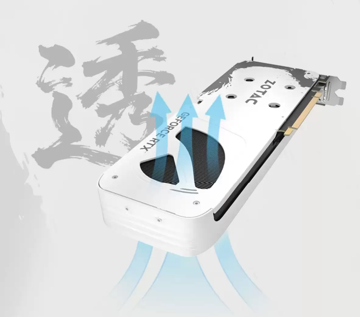 618选显卡！RTX 5060 和 5060 Ti买哪款