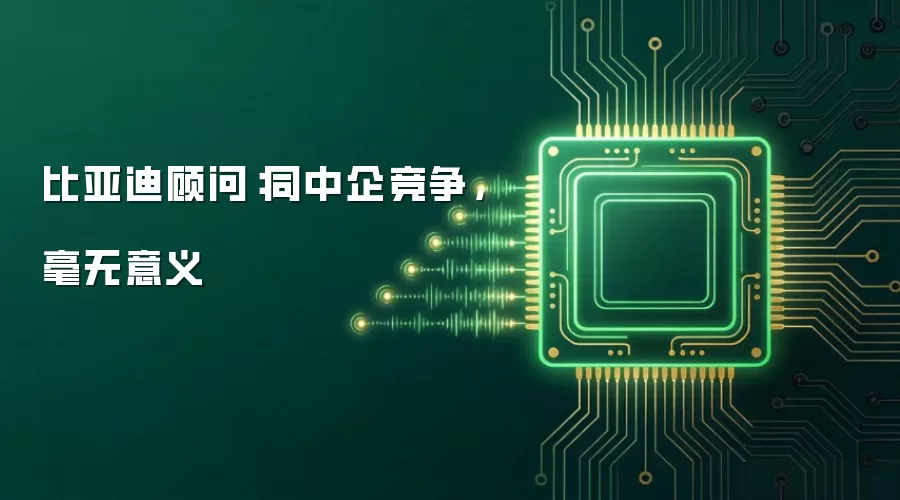 比亚迪顾问:同中企竞争,毫无意义