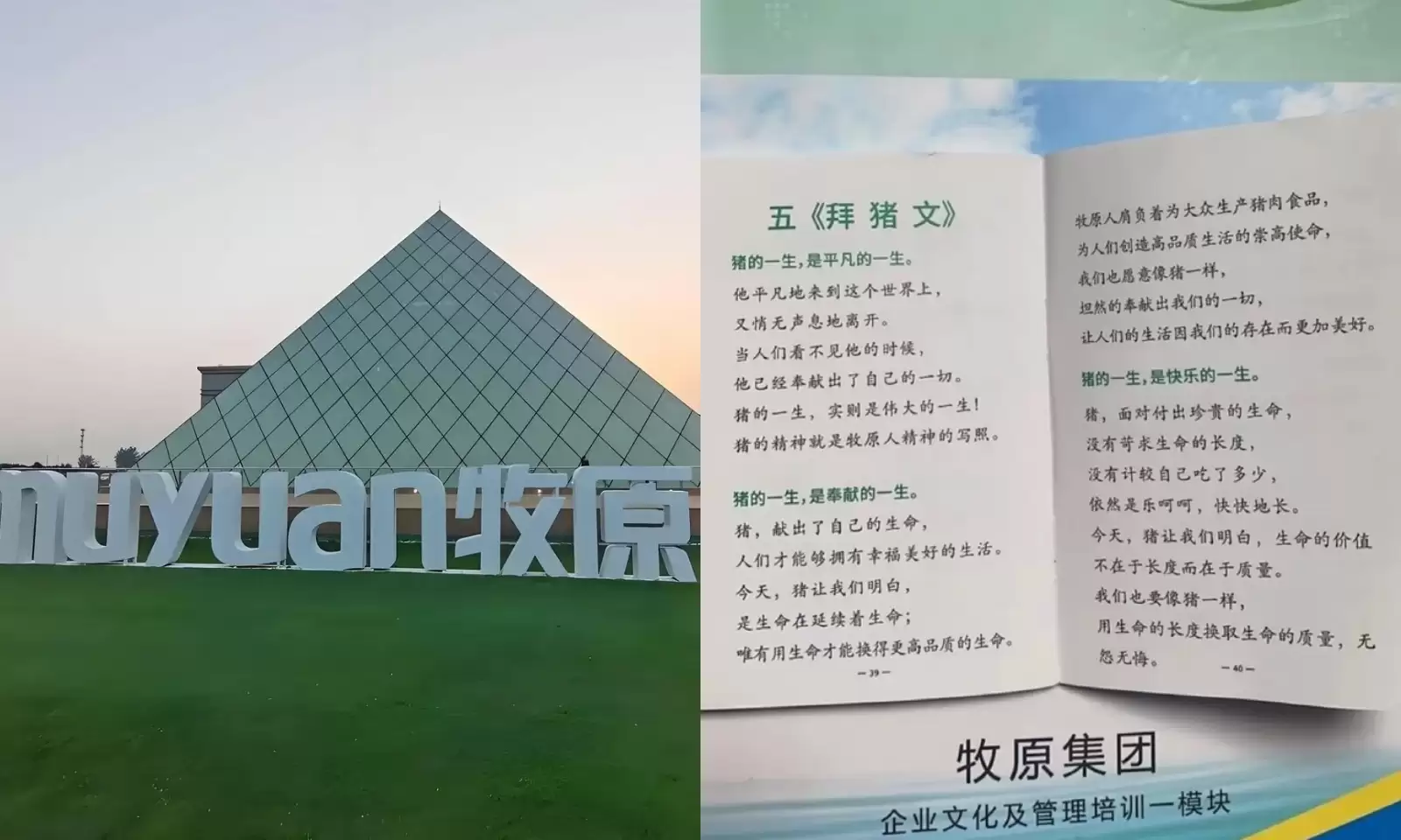 牧原《拜猪文》炸锅！让员工学猪奉献，是企业文化还是职场PUA？